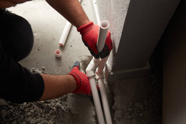 Best Local Plumber Services  in East Palatka, FL