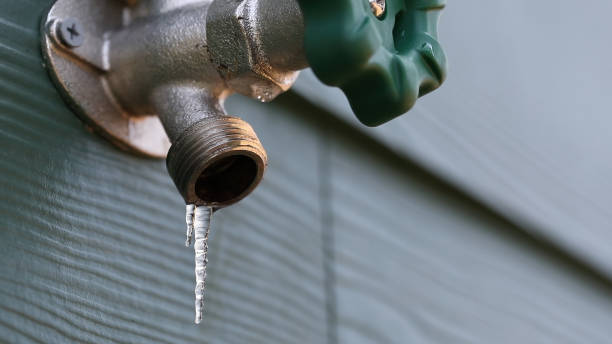 Best Drain Cleaning Services  in East Palatka, FL